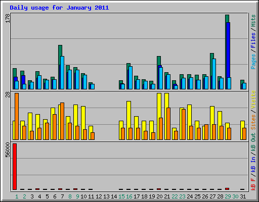 Daily usage for January 2011